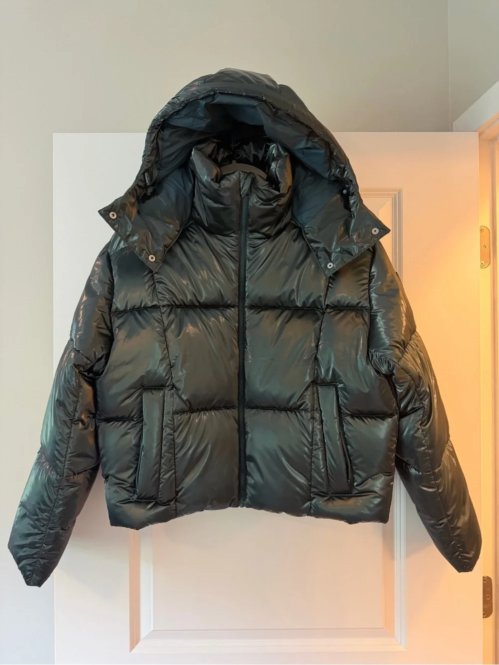 ALO Yoga Green Pearlized Pristine Puffer Jacket